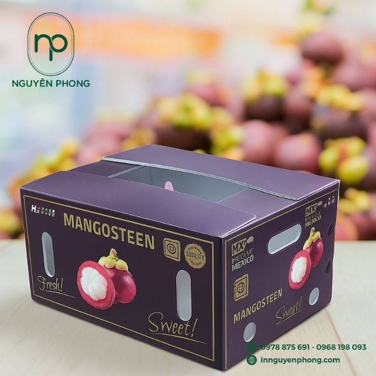 Mẫu thùng carton đựng măng cụt bế lỗ thông hơi